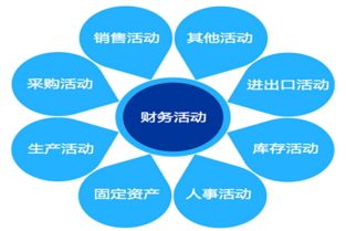 企业财务分配管理的核心原则与实用技巧